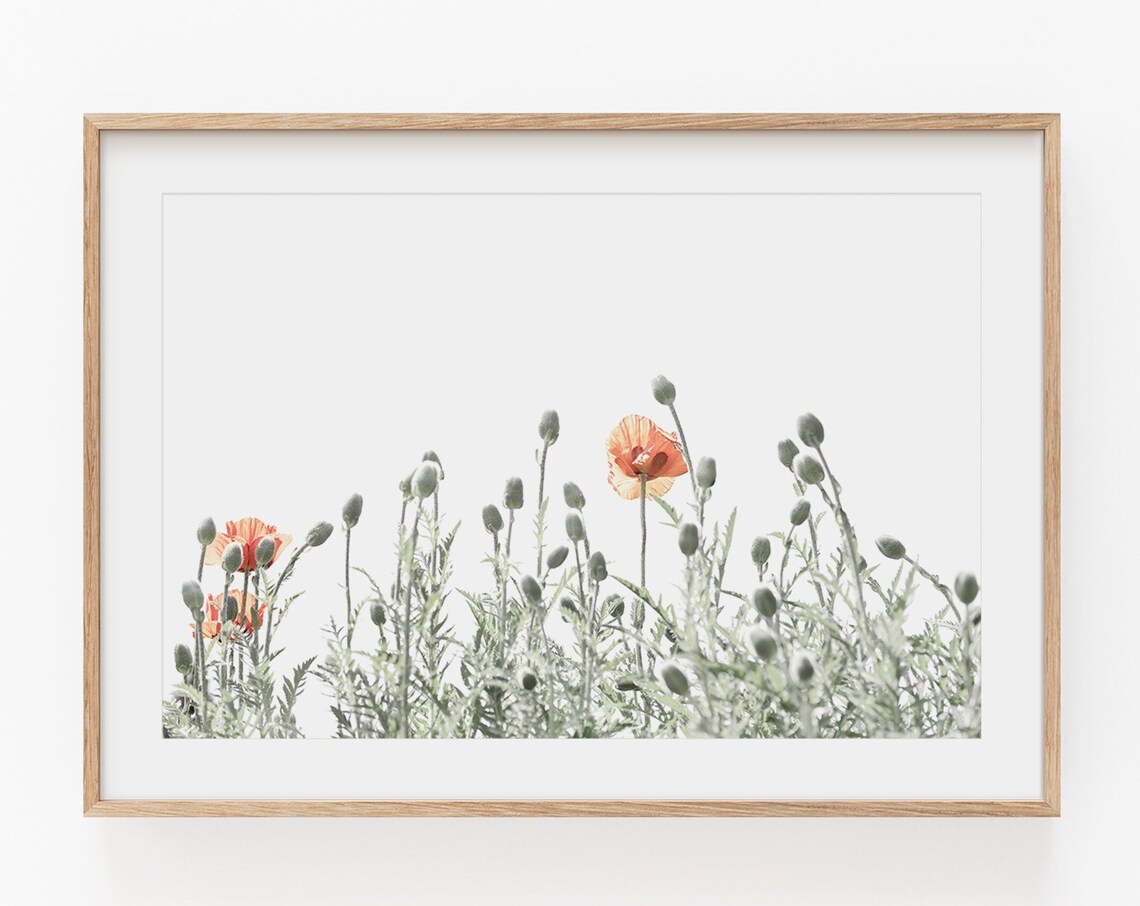 Poppy Print, Modern Minimalist Floral Art Print - Image 4