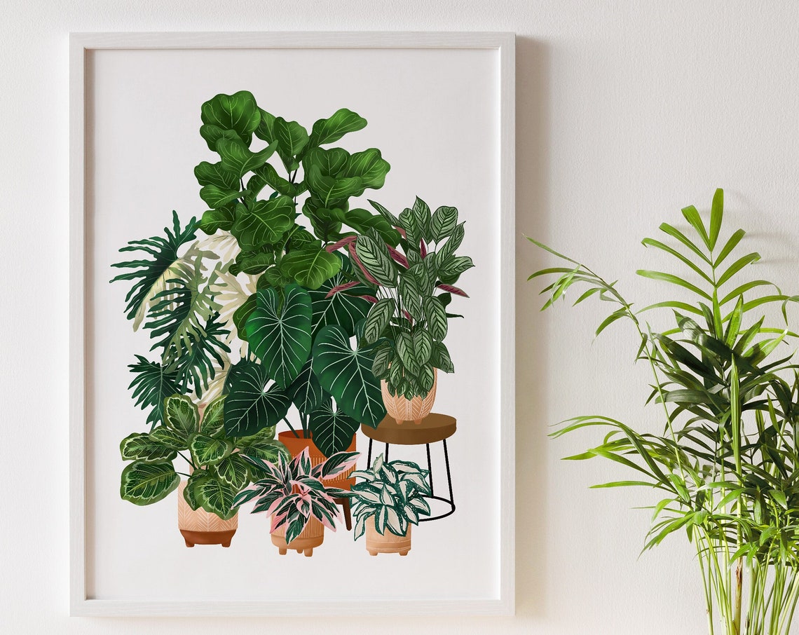 Houseplant Collection Poster Fiddle Leaf Monstera Calathea Decor - Image 3