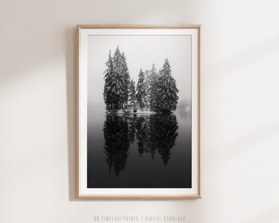 Black And White Pine Trees On Lake Landscape Print Winter Decor Wall Art Nature Photography A219