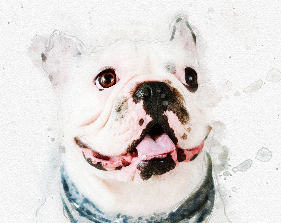 White Bulldog Watercolor Portrait Smiling Dog Art Wall Print