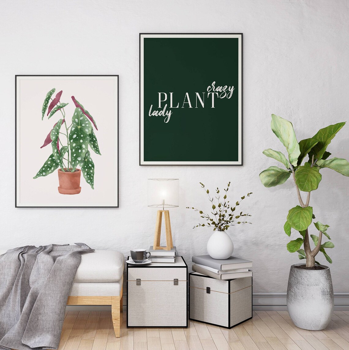 Polka Dot Begonia Plant Lover Wall Art Poster - Image 2