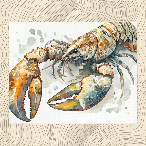 Lobster Watercolor Illustration Coastal Marine Life Art Poster