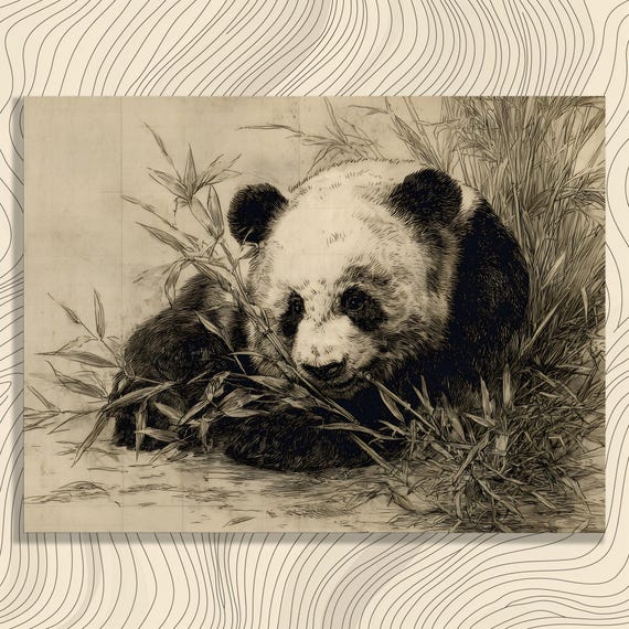 Giant Panda Bamboo Canvas Wall Art Vintage Pen Ink Drawing Monochrome Illustration Forest Wildlife Bear Print Neutral Tones