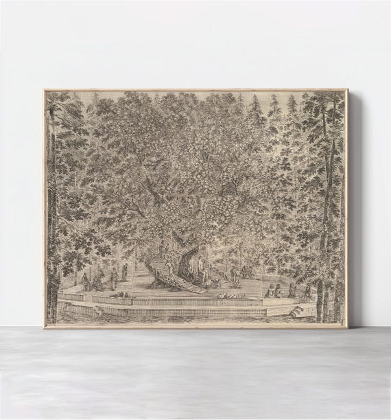 Vintage Tree Sketch Wall Art Scenic Landscape Drawing Antique Neutral Trees Etching Art