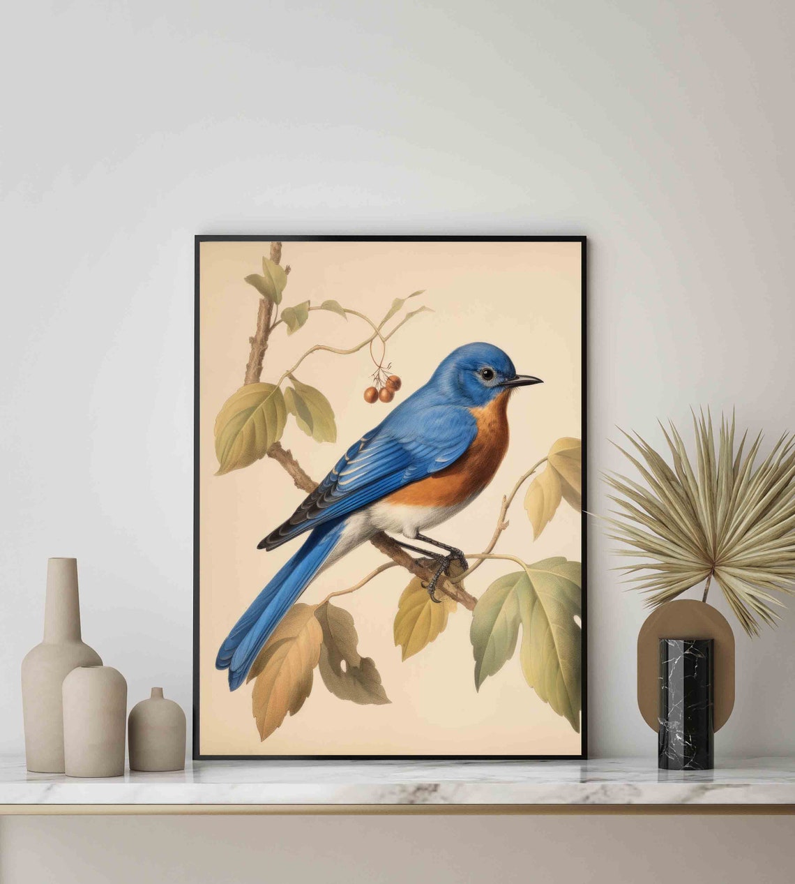 Bluebird Vintage Botanical Bird Illustration Ornithology Art Print - Image 2