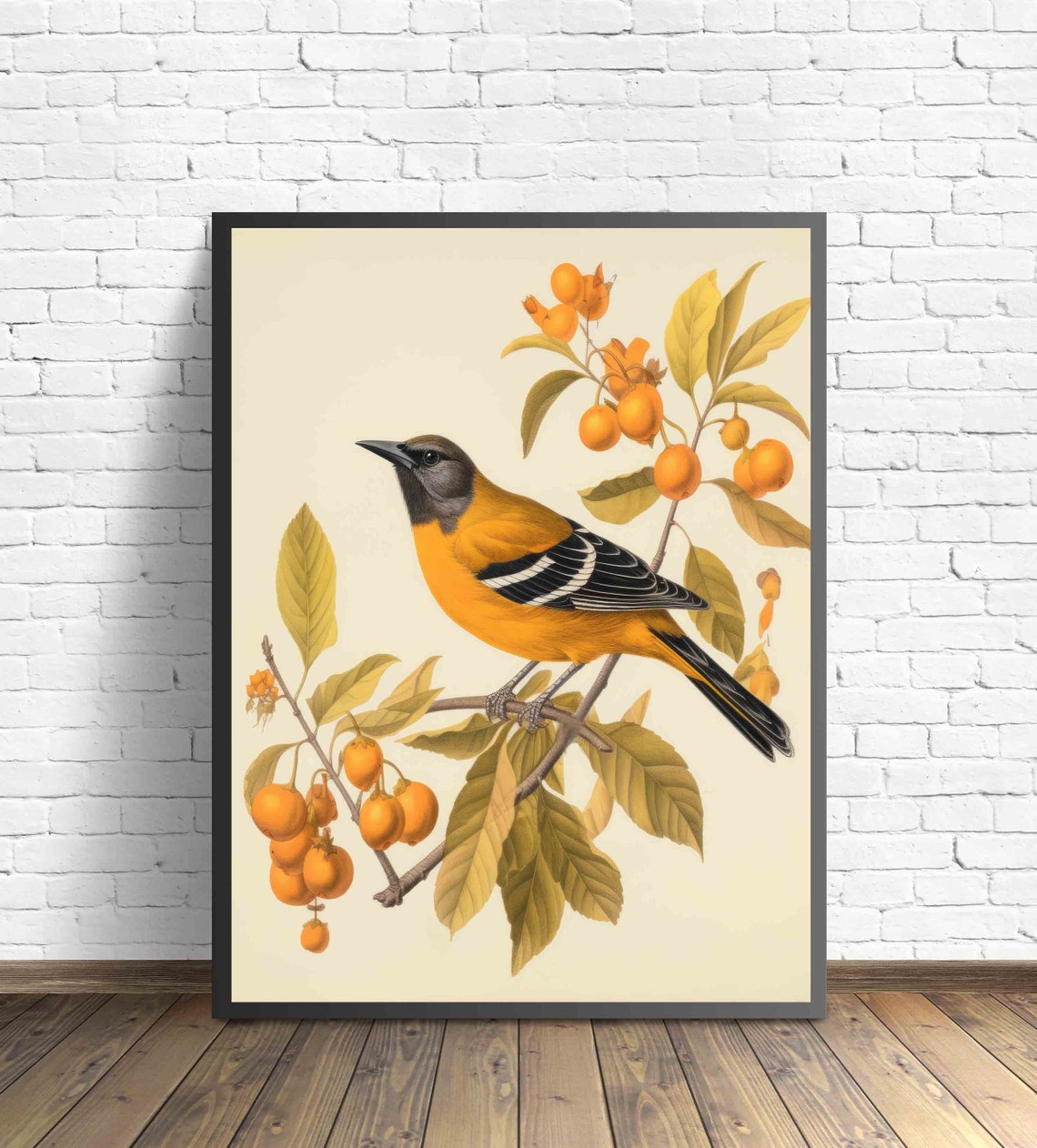 Oriole Bird on Persimmon Branch Vintage Audubon Style Art Poster