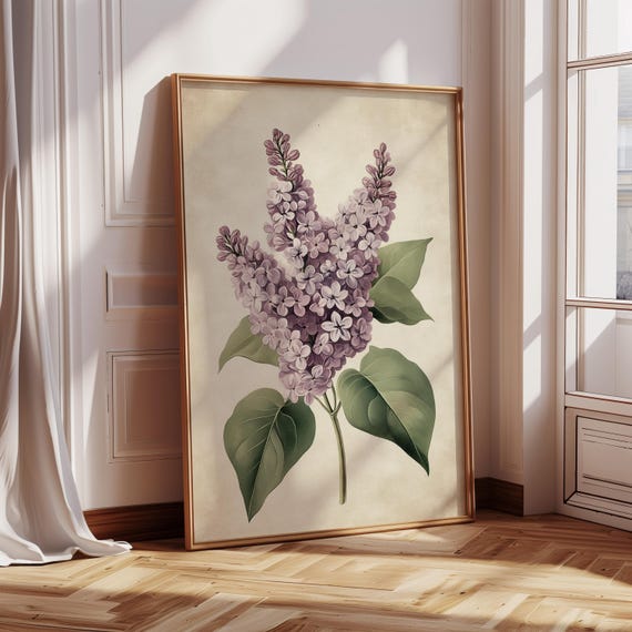 Vintage Lilac Blossom Bouquet Detailed Floral Illustration Purple And White Lilacs Botanical Wall Art Classic Nature Decor