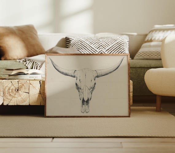 Longhorn Skull Study