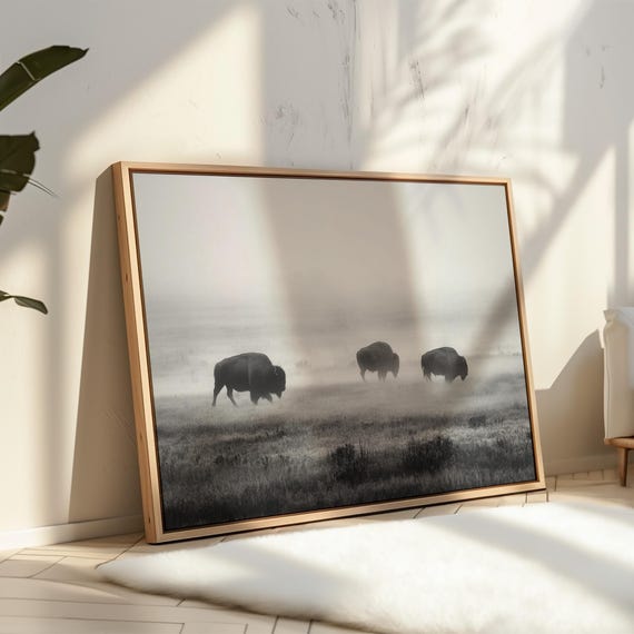 Bison In The Mist, Western Wildlife Art Print