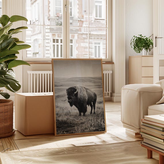 Lone Bison Black And White Wildlife Wall Art