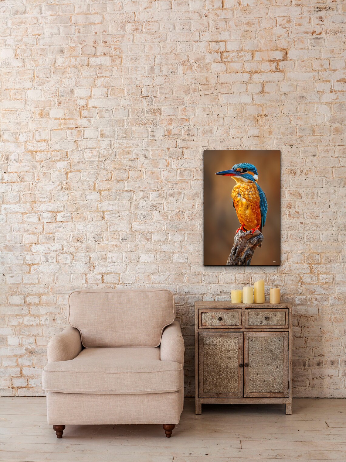 Namibia Malachite Kingfisher Art Print, Bird Nature - Image 3