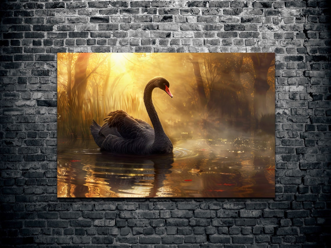 Elegant Black Swan on Golden Misty Lake at Sunset Wildlife Poster - Image 2