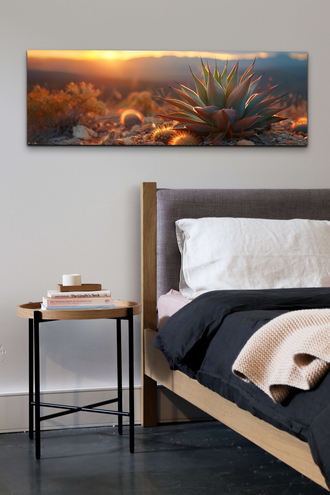 Agave Cactus, Southwest Style Desert Landscape - Image 4
