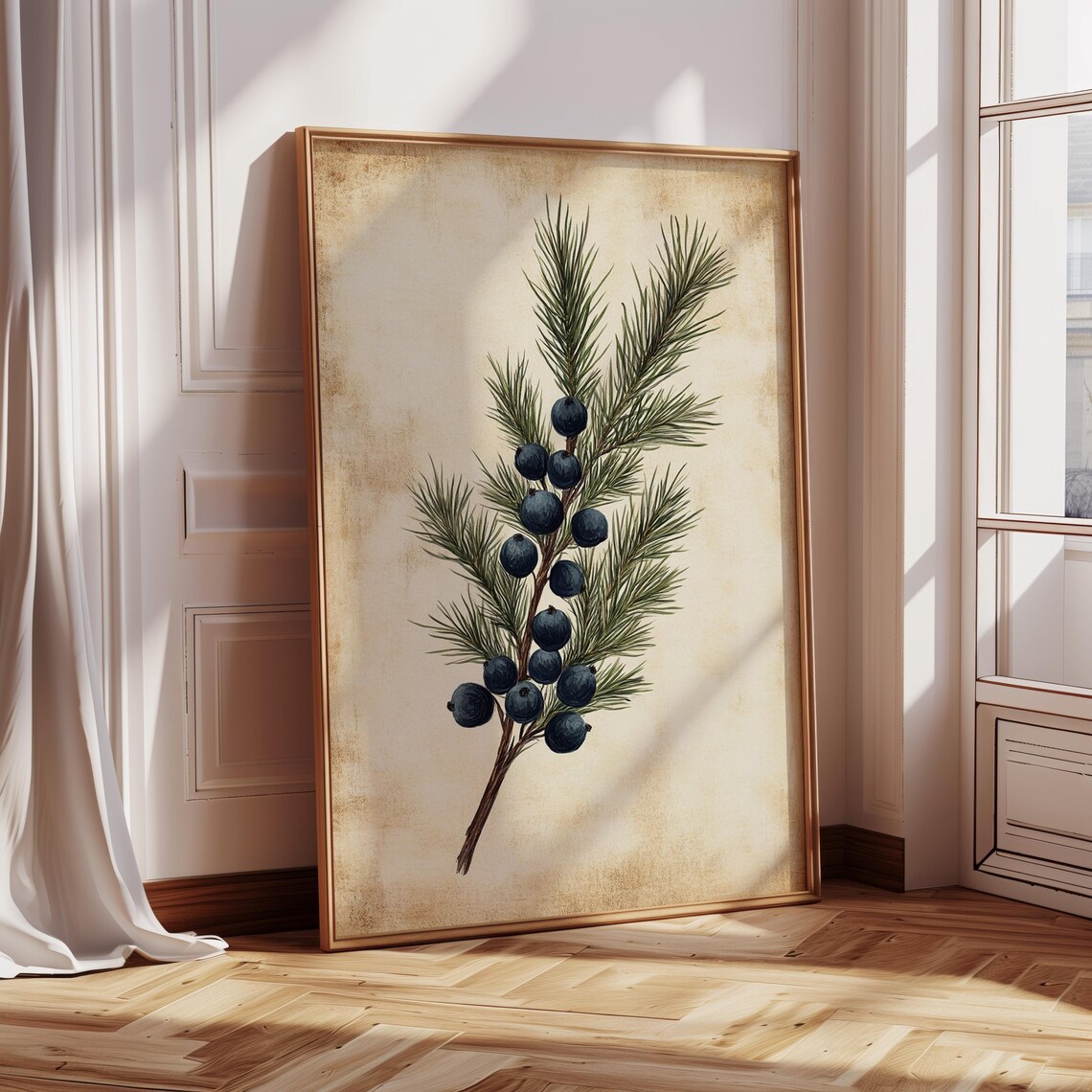 Juniper Botanical Art, Vintage Style Pine Branch Print - Image 5