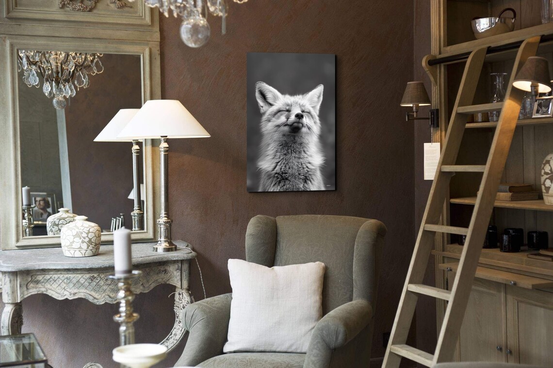 Smiling Fox Black and White Portrait Wildlife Photography Poster - Image 4