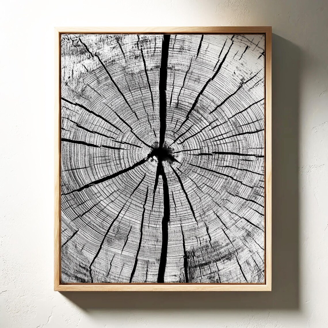 Tree Ring Wall Art, Minimalist Natural Decor - Image 3