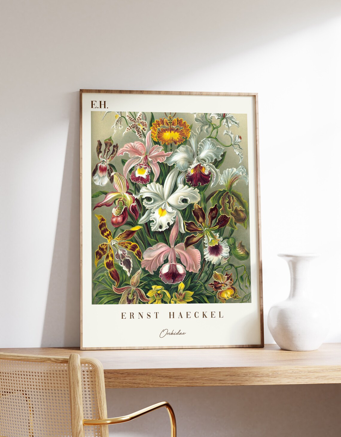 Ernst Haeckel Orchidae Botanical Poster Vintage Print Flowers Wall Art Nature Fine