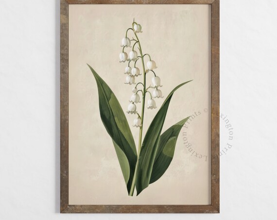 Lily Of The Valley Botanical White Flower Vintage Print Farmhouse