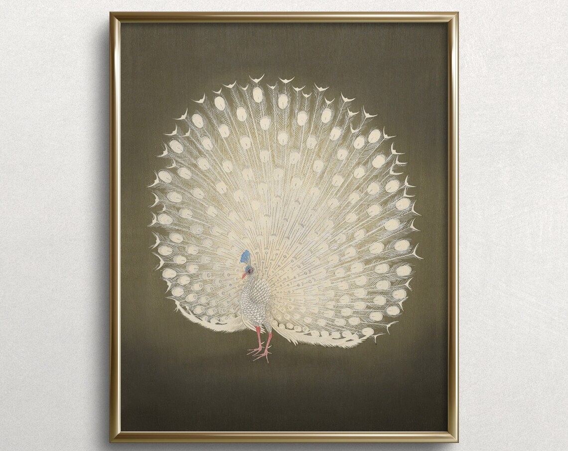 Albino Peacock Vintage Bird Art Print, Moody Eclectic