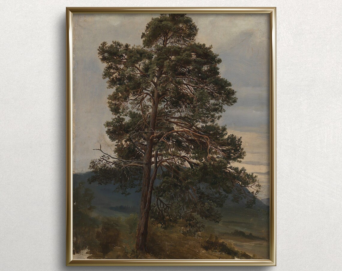 Oregon Coastal Pine Moody Forest Art Print