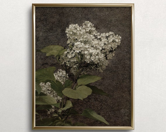 White Lilacs Vintage Floral Kitchen Art Print