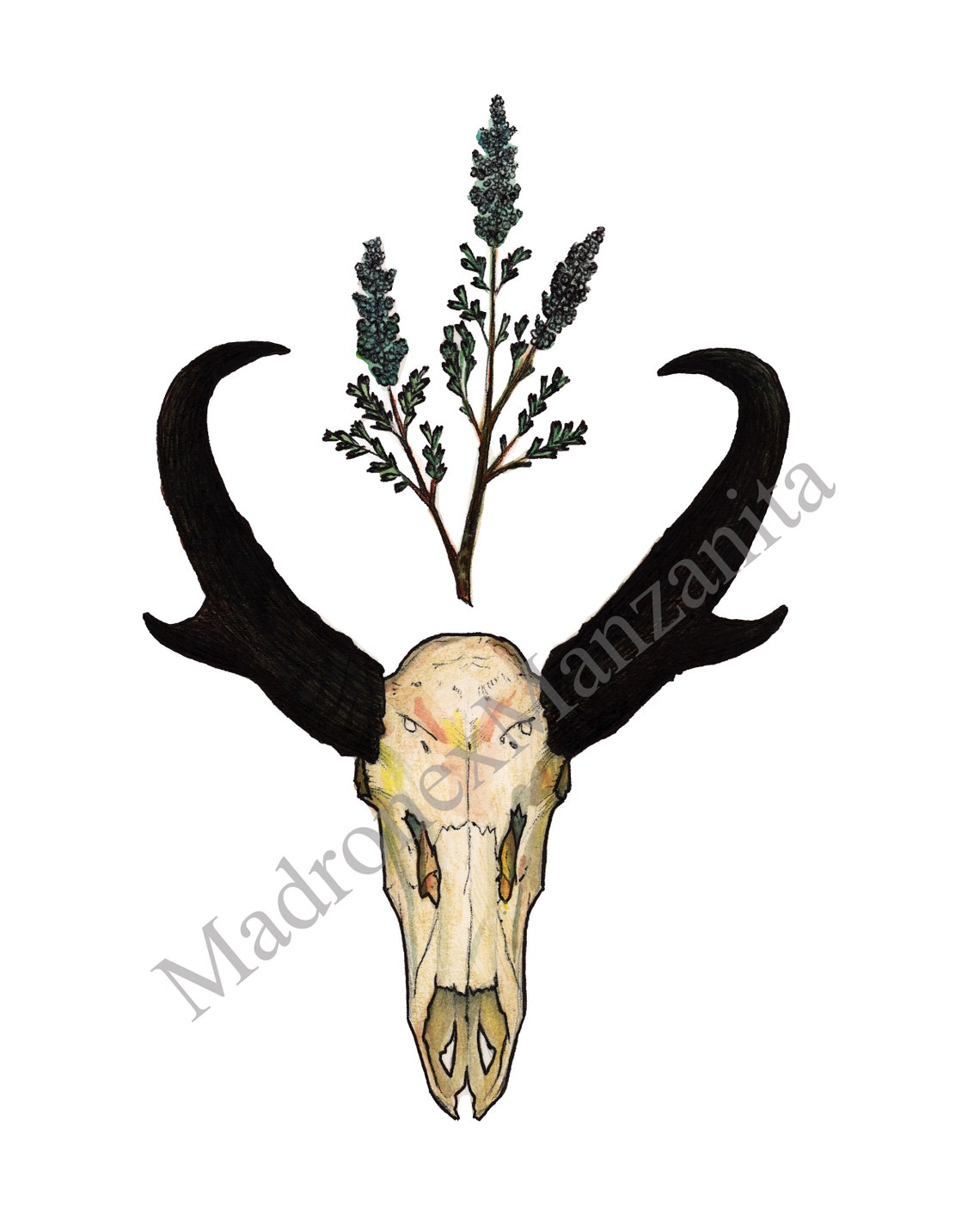 Pronghorn Skull with Sage Sprig Southwestern Boho Art Poster - Image 2