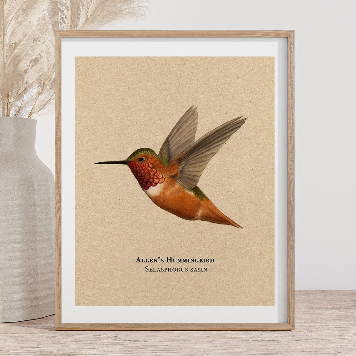 Allen's Hummingbird in Flight Vintage Style Bird Artwork Poster