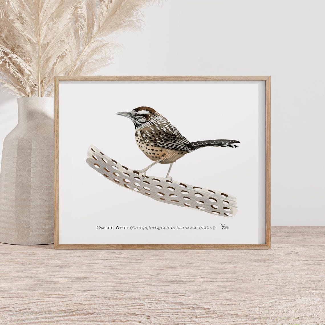 Cactus Wren Perched on a Cholla Branch Desert Bird Art Poster