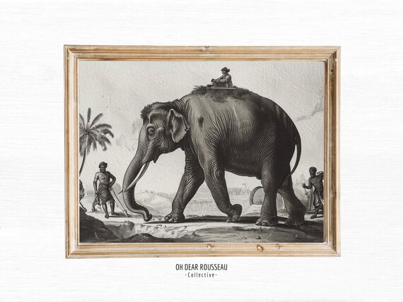 Vintage Antique Colonial Drawing Jungle Elephant Wall Art Heritage Travel Print British Style Sketch
