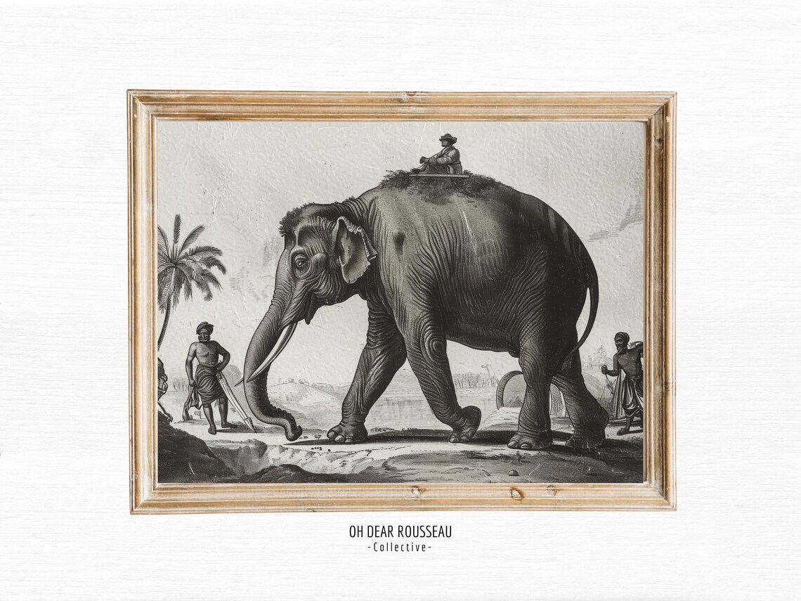 Antique Elephant Engraving Colonial Jungle Heritage Sketch Art Poster