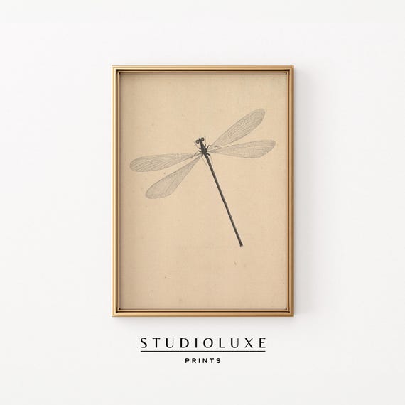 Vintage Dragonfly Print Wall Art Prints Garden Lovers Nature Botanical Trendy Apartment Decor