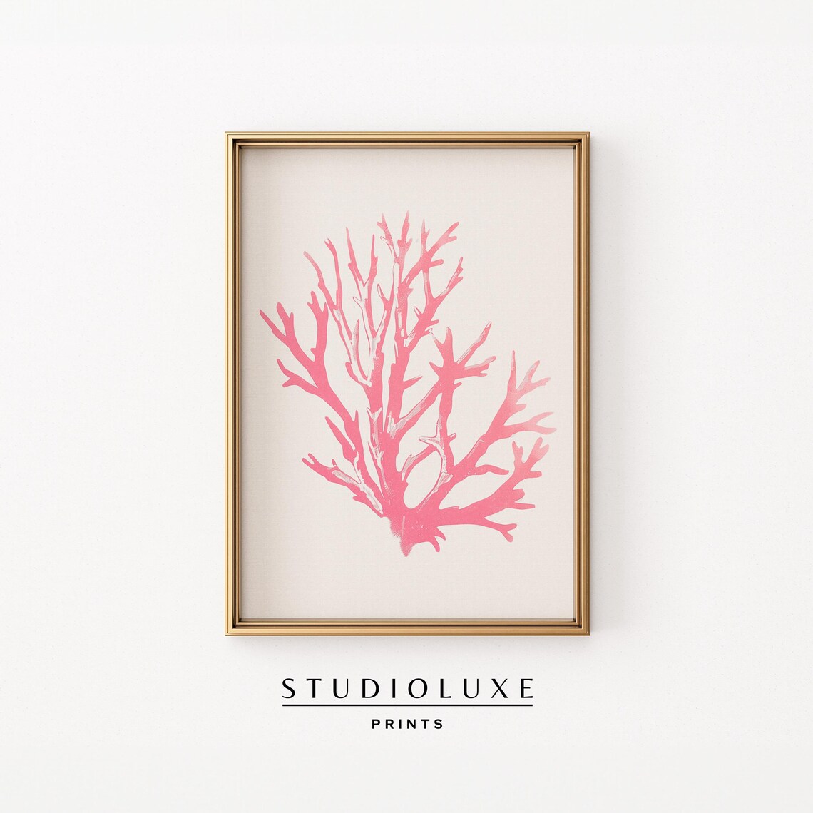 Coral Reef Print Beachy Wall Art Coastal Pink Colorful Tropical