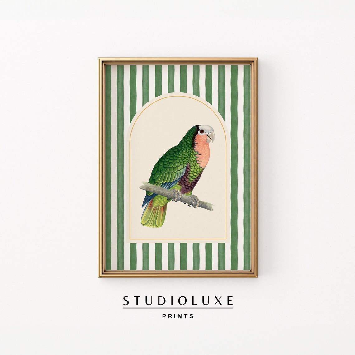 Green Stripe Parrot Vintage Tropical Bird Art Print