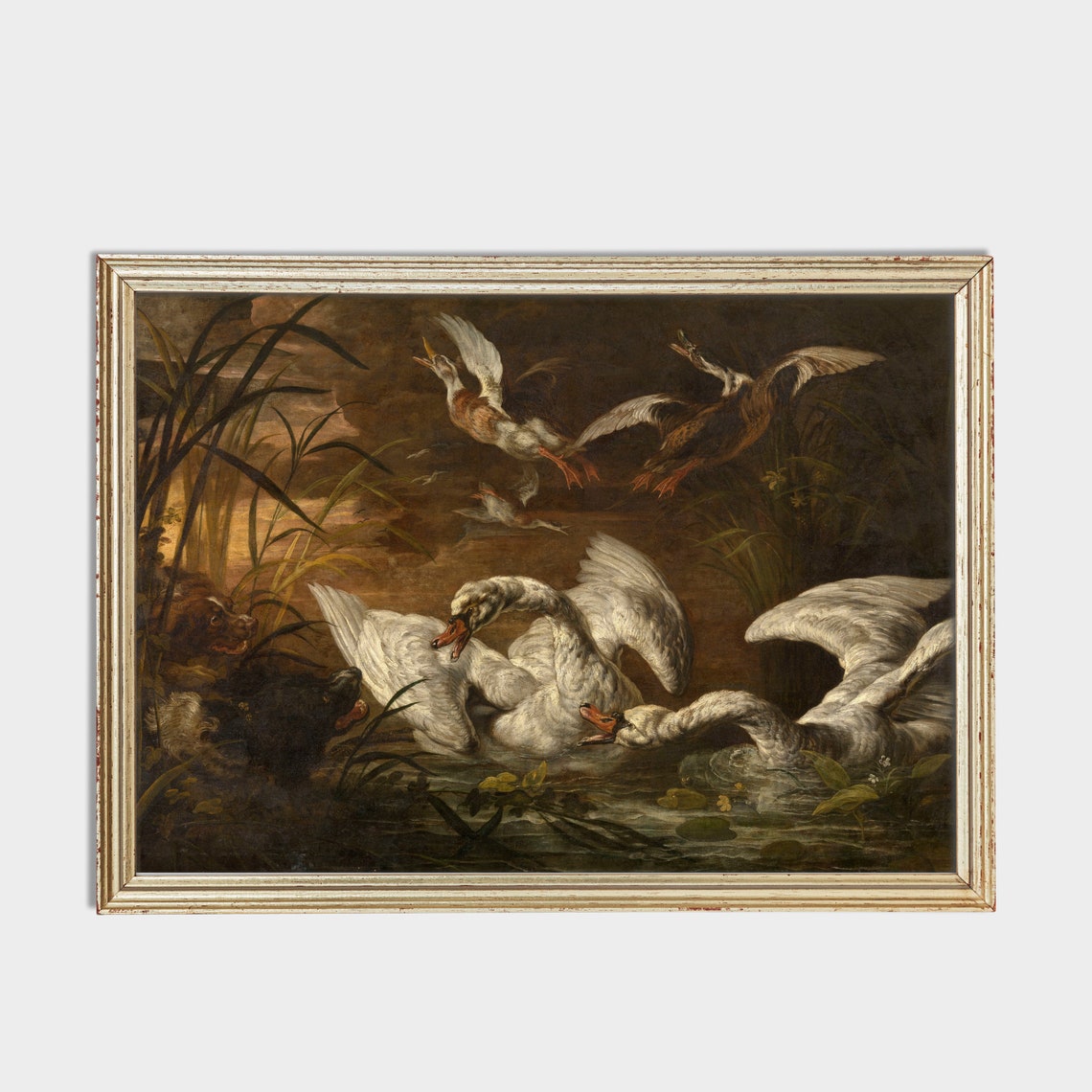 Swans Battling Dogs On Dark Water Dramatic Vintage Wildlife Poster - Image 2