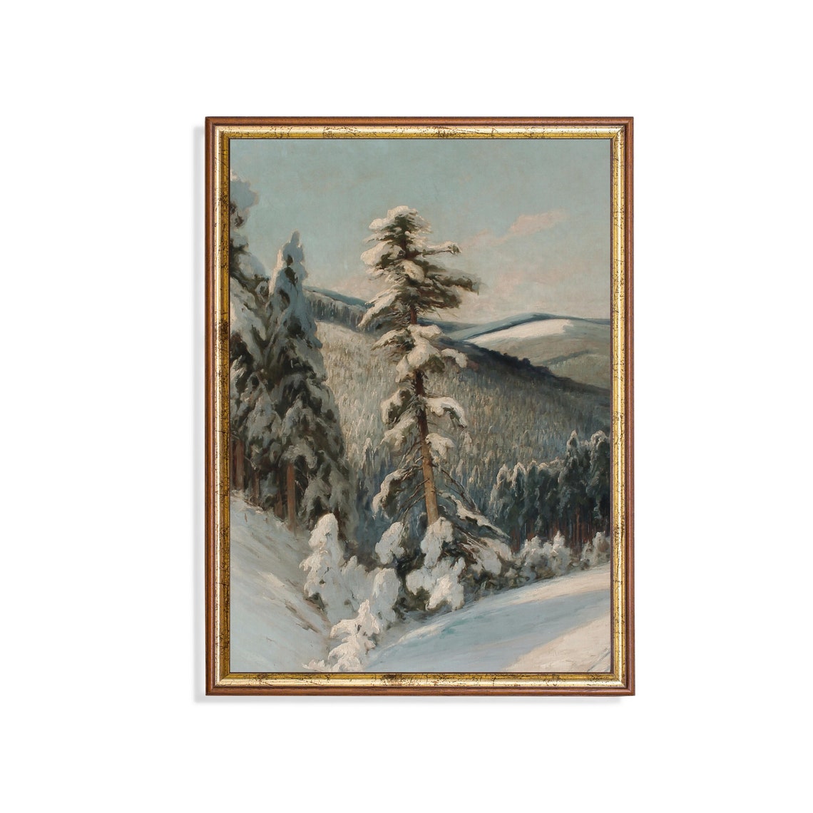 Snow-Covered Pines Overlooking Mountain Valley Winter Poster