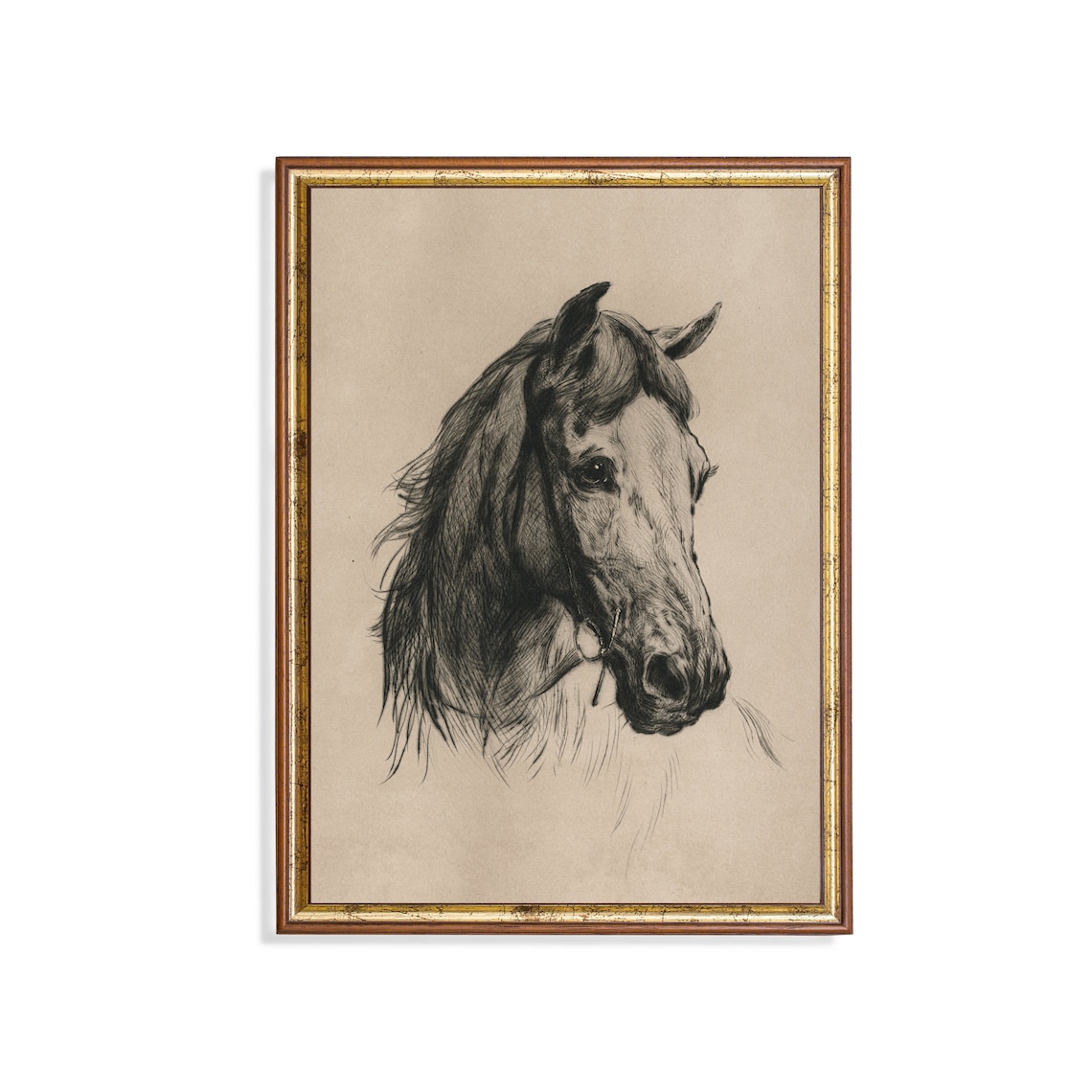 Horse Portrait Sketch, Rustic Fine Art Art Print