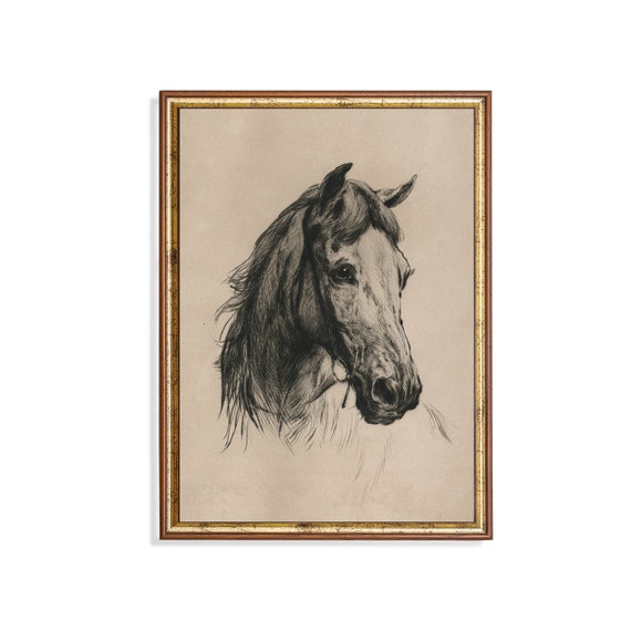 Horse Portrait Sketch, Rustic Fine Art Art Print