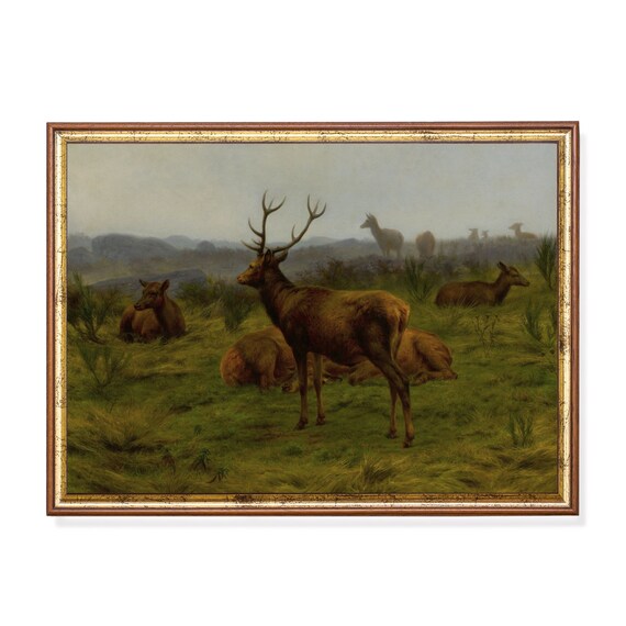 Red Deer Stag with Hinds in the Misty Highland Moorland Wall Art