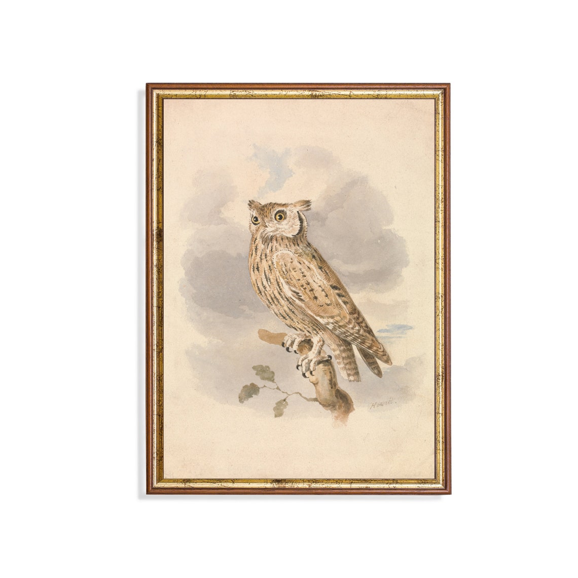 Long-Eared Owl Perched on Branch Antique Watercolor Bird Poster