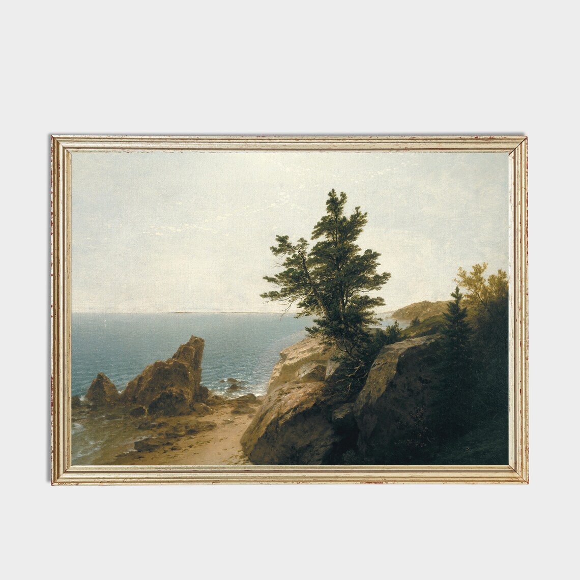 Rocky Coastal Cliff with a Tall Pine Tree Overlooking the Sea Poster - Image 2