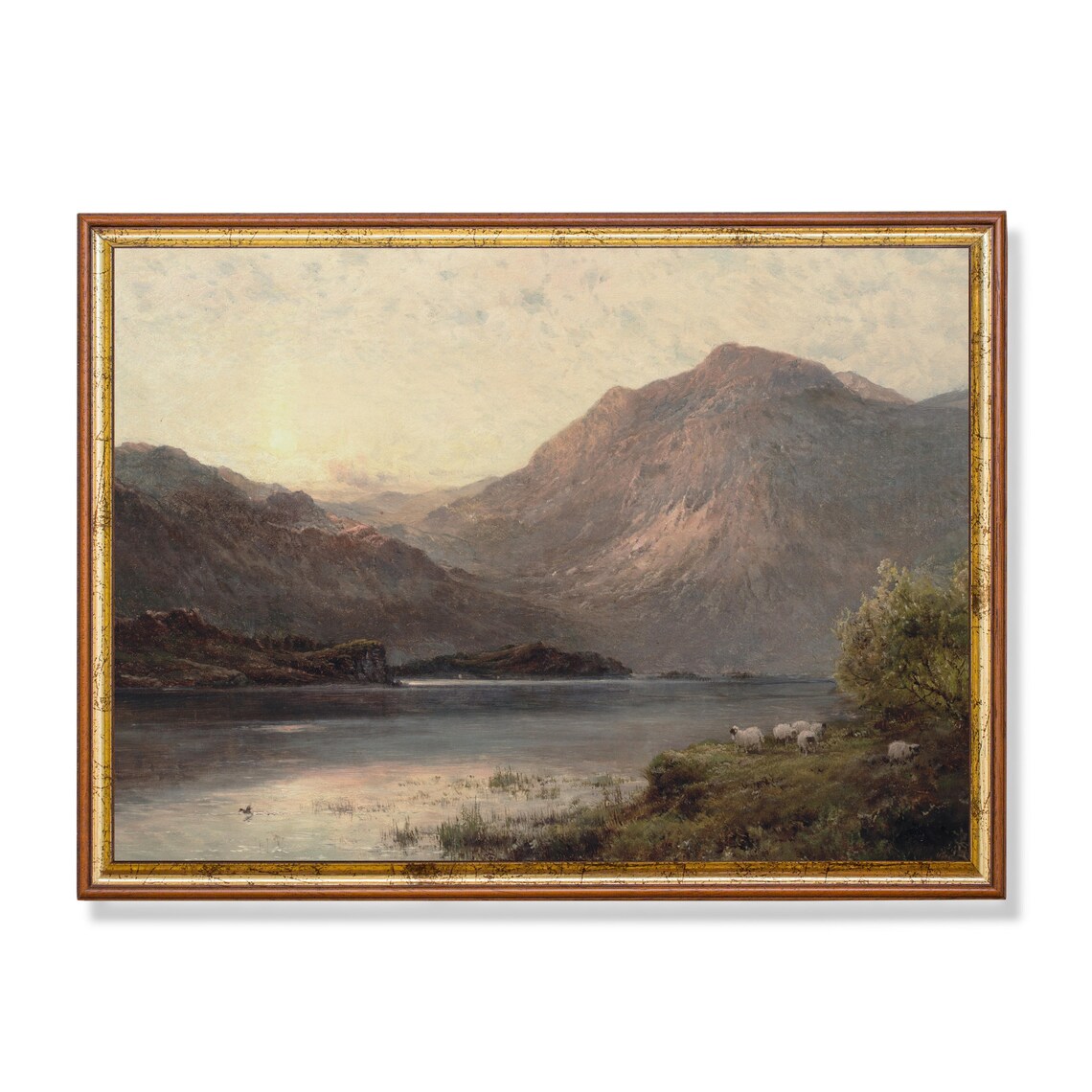 Sheep in Mountain Lake, Vintage Landscape Art Print