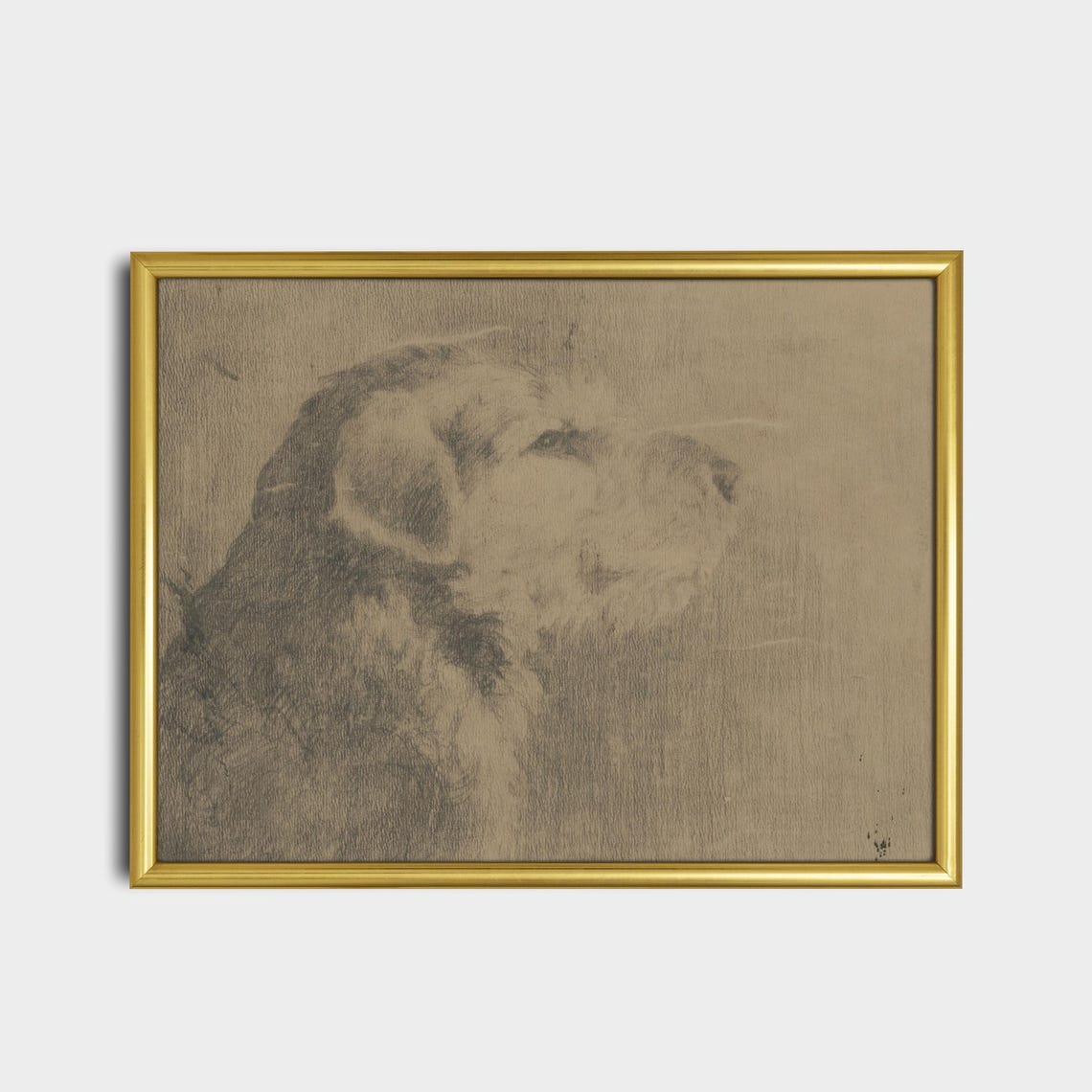 Charcoal Shaggy Dog Head Portrait Sketch Rustic Animal Art Poster - Image 2