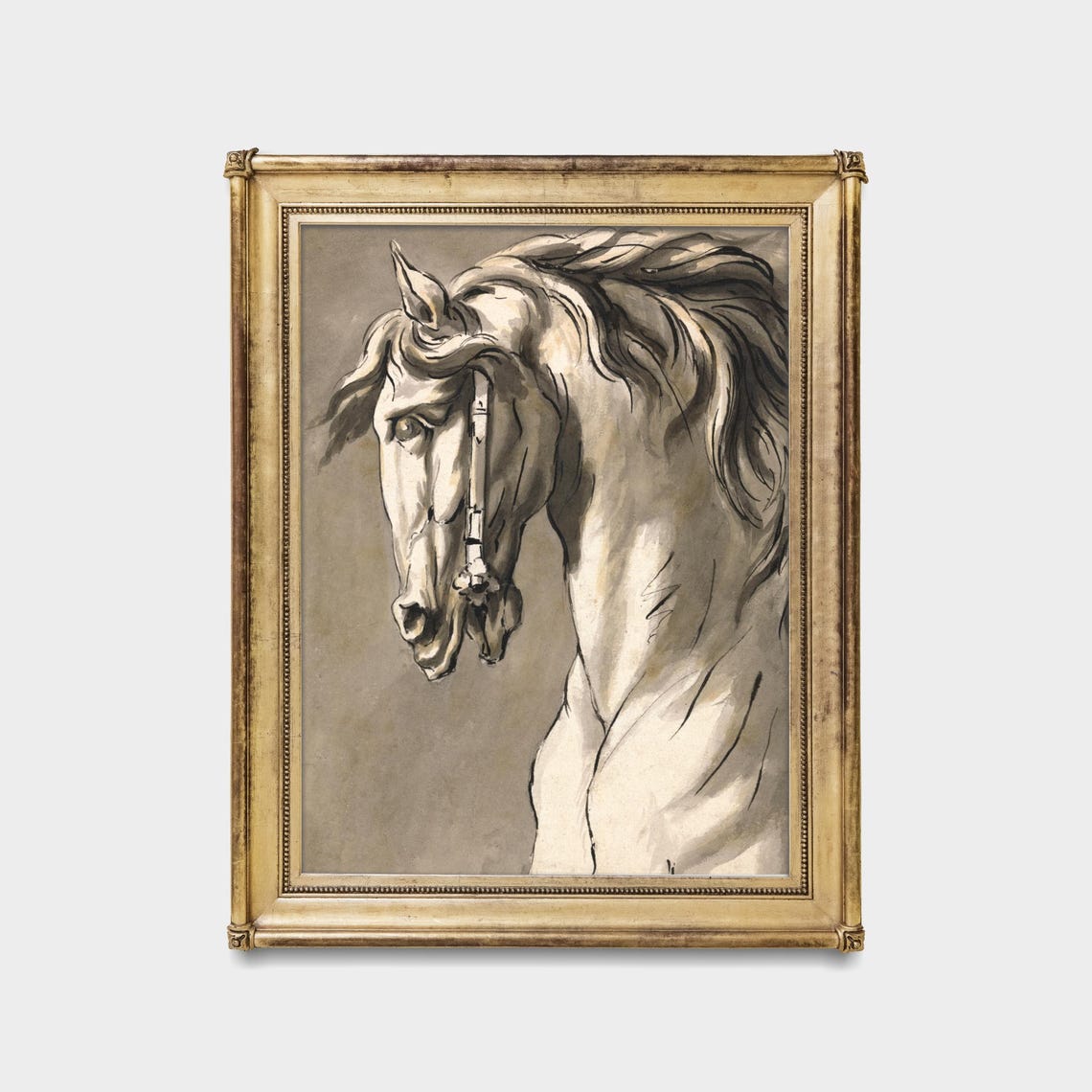 Noble White Horse Head Study Vintage Equine Pencil Sketch Poster - Image 5