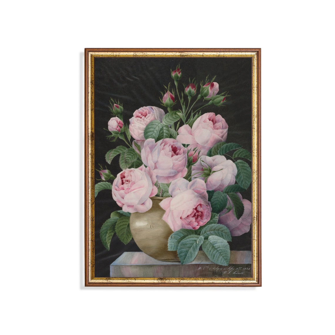 Blush Pink Roses In Brass Vase Against Dark Ground Floral Art Poster