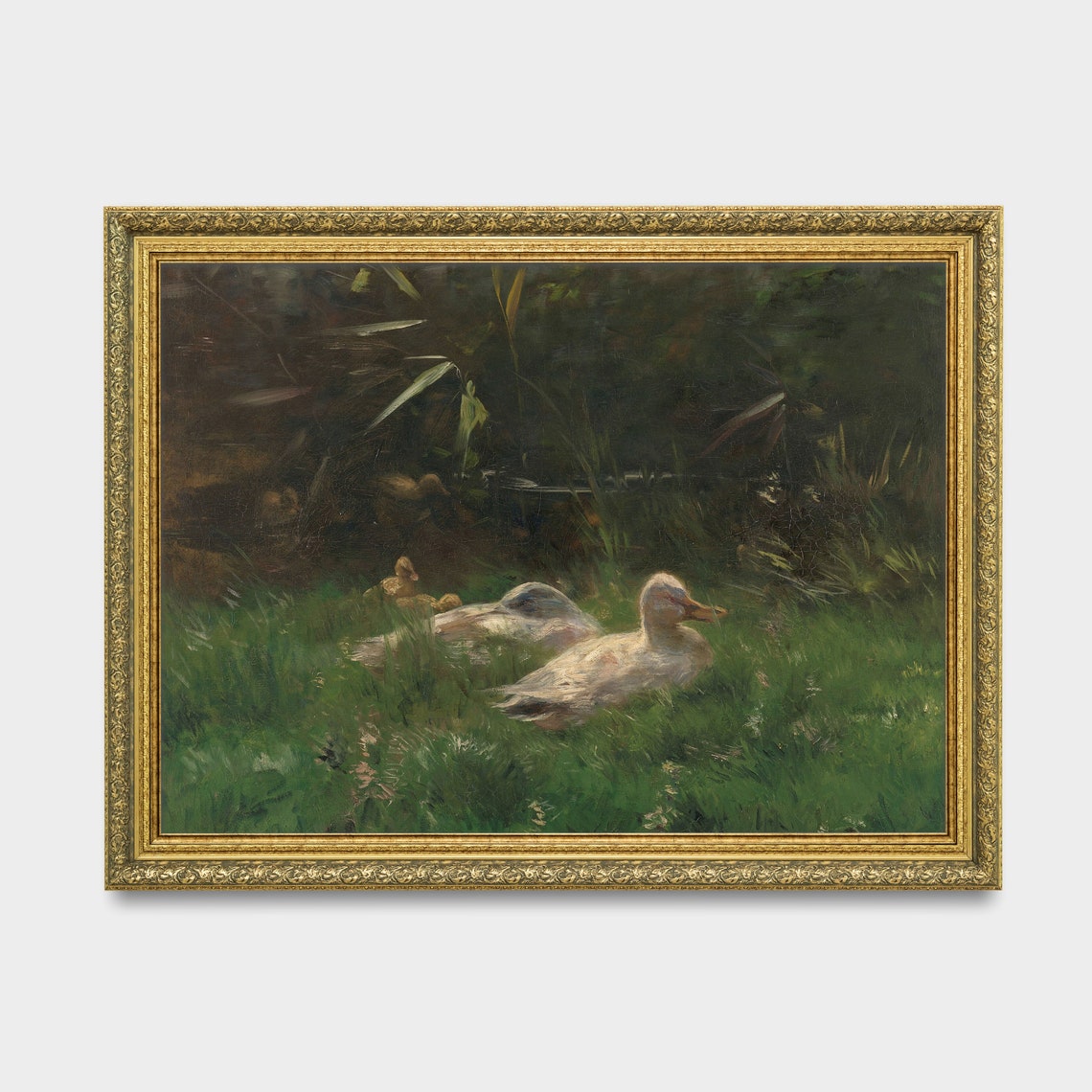 White Ducks Resting by a Pond With Ducklings Vintage Animal Poster - Image 3