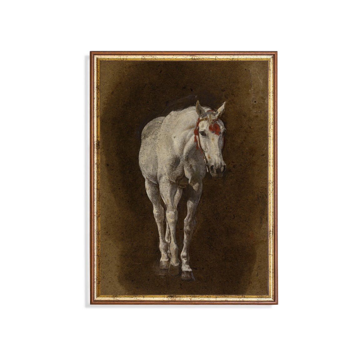 White Horse With a Red Bridle Against a Dark Backdrop Poster