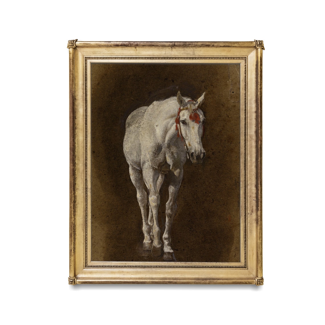 White Horse With a Red Bridle Against a Dark Backdrop Poster - Image 2