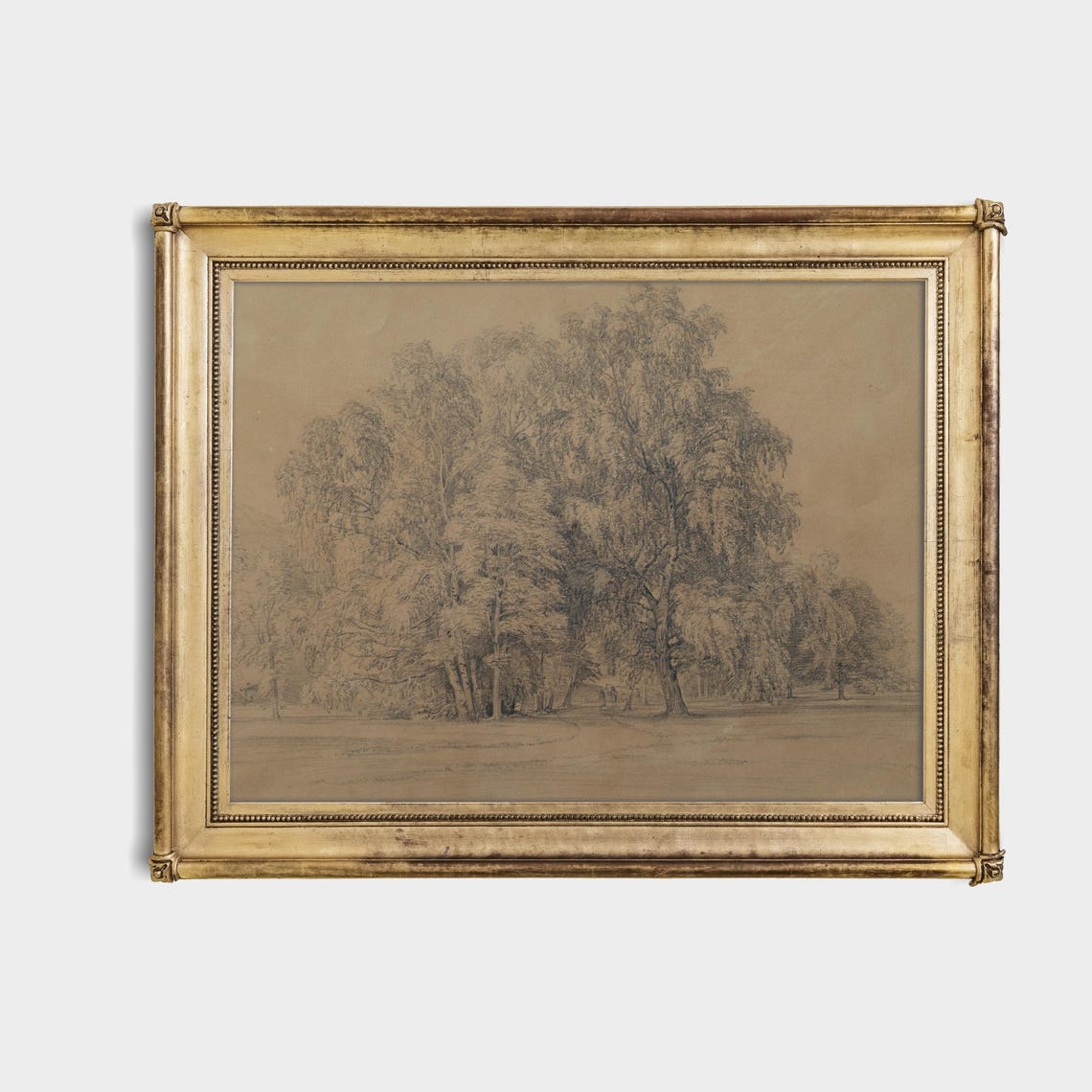 Leafy Tree Cluster Pencil Sketch Vintage Landscape Drawing Poster - Image 4