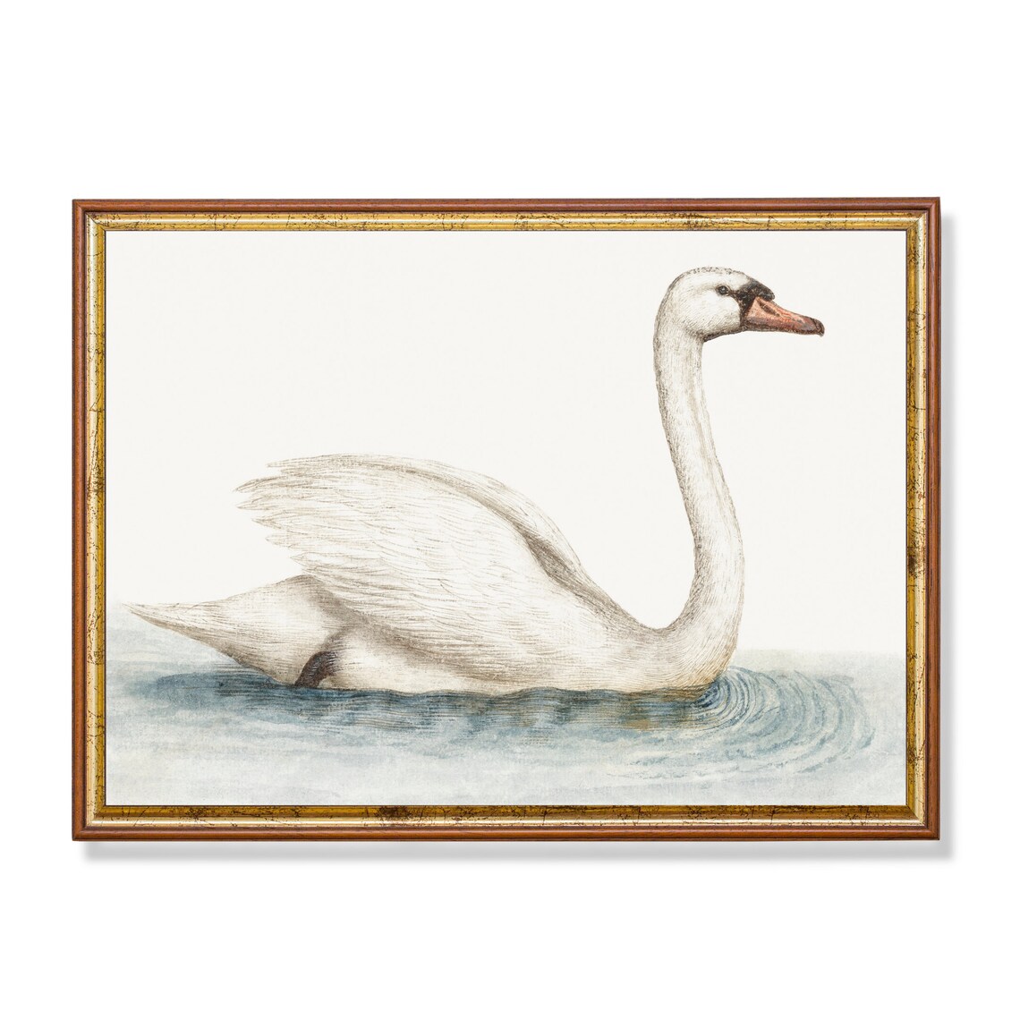 Vintage Swan Painting, Neutral Farmhouse Art Print
