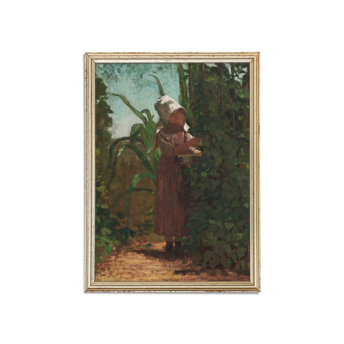Girl in a Sunbonnet Picking Vegetables Among Corn Stalks Poster - Image 3